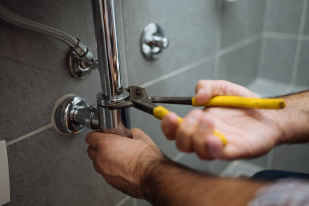 Best Commercial Plumbing Services  in Volo, IL